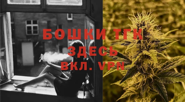 гашик Бронницы