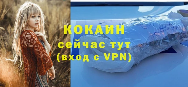 гашик Бронницы