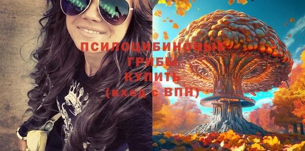 мдпв Бугульма
