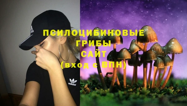 jwh Бородино