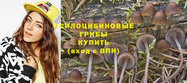jwh Бородино