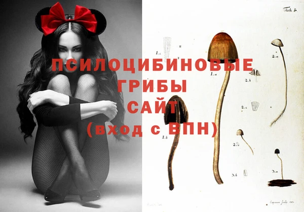 мдпв Бугульма