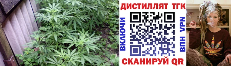 ТГК вейп Новохопёрск