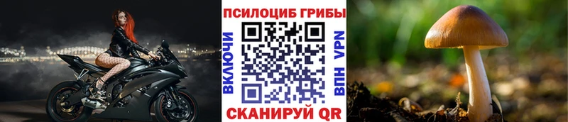 Псилоцибиновые грибы мицелий  Новохопёрск 